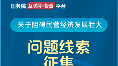 大吊日美女骚穴国务院“互联网+督查”平台公开征集阻碍民营经济发展壮大问题线索